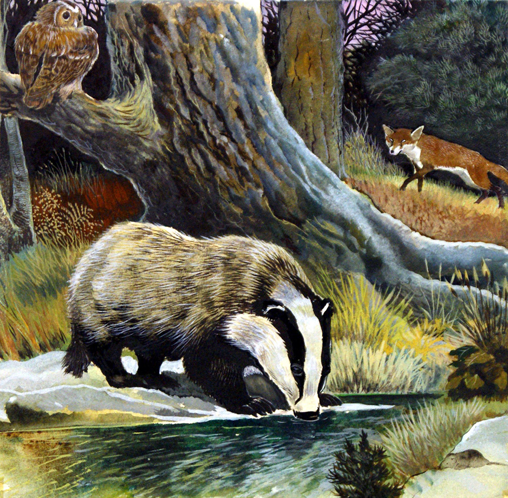 Badger, Fox and Owl (Original) art by G W Backhouse Art at The Illustration Art Gallery