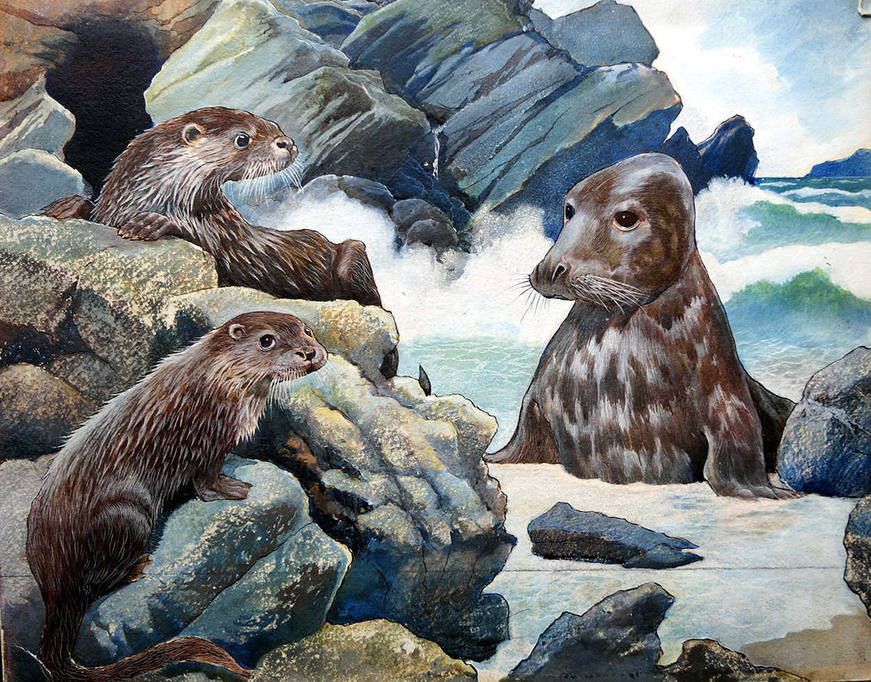 Seal and Sea Otters (Original) art by G W Backhouse Art at The Illustration Art Gallery
