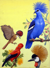 Nature Wonderland: Birds with Crowns (Original) (Signed)