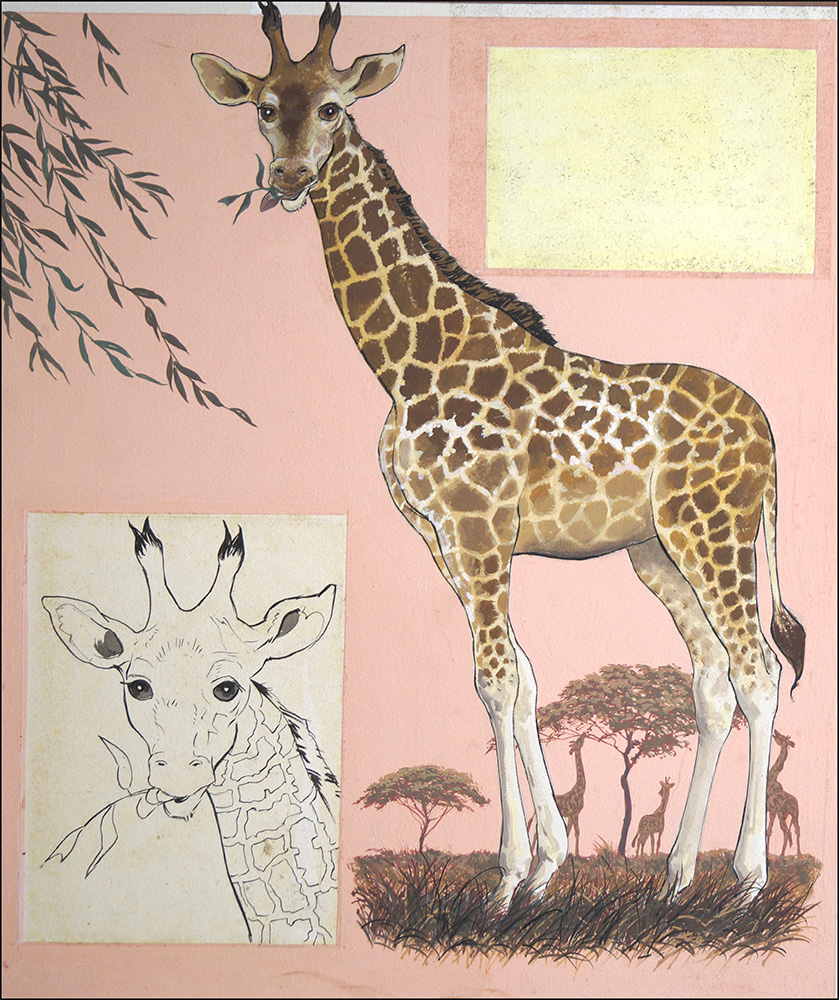The Giraffe (Original) art by Reginald B Davis at The Illustration Art Gallery