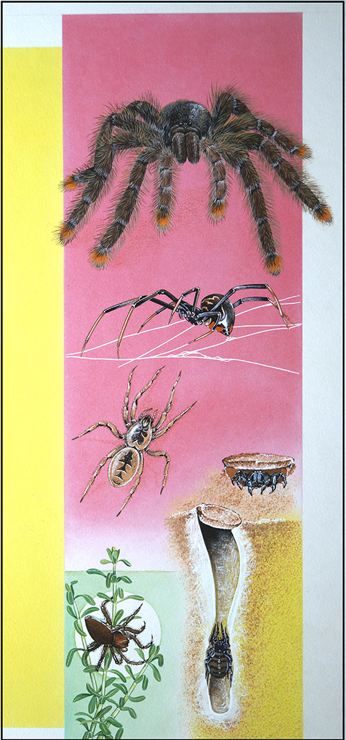 World of Spiders (Original) by Reginald B Davis at The Illustration Art Gallery