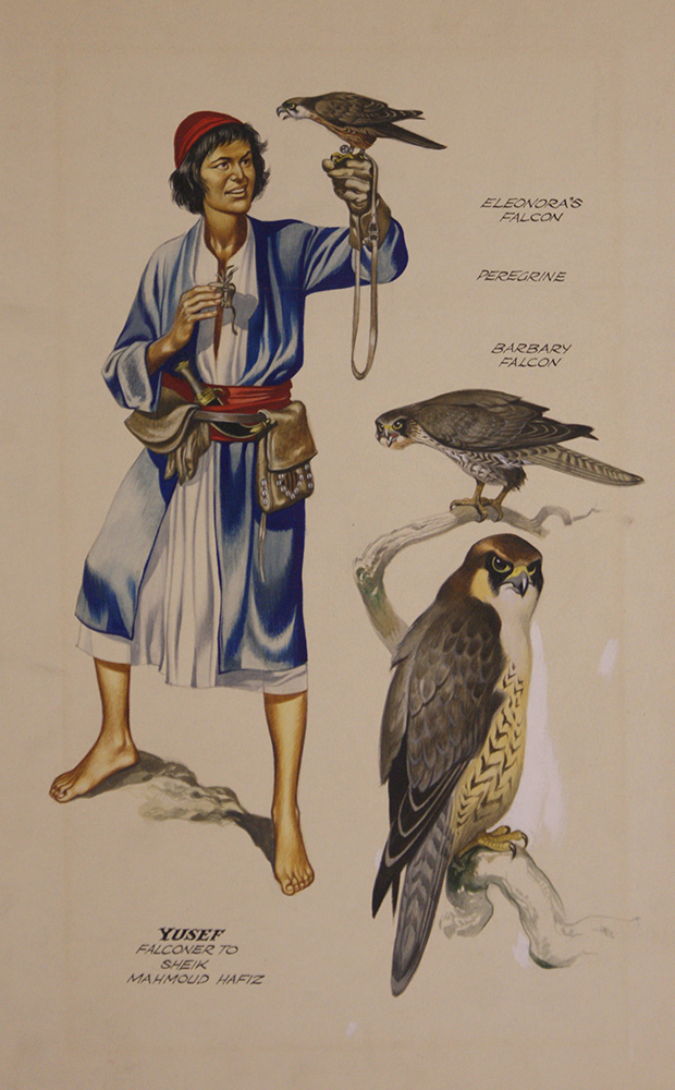 Falcons and Falconer (Original) art by Ron Embleton Art at The Illustration Art Gallery