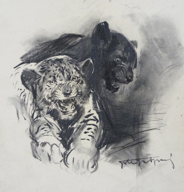 Wild Cats (Original) (Signed) by Giorgio De Gaspari at The Illustration Art Gallery