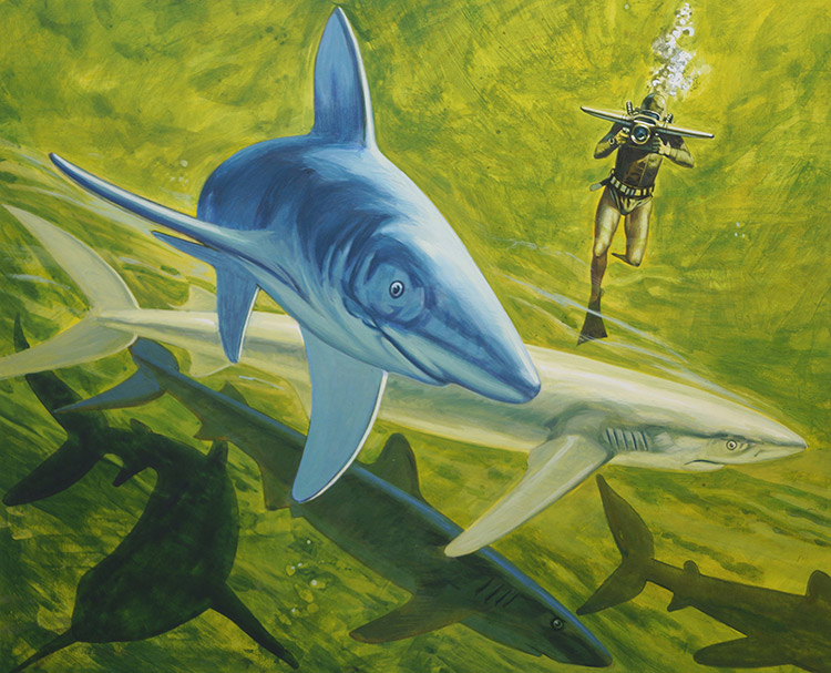 School of Sharks (Original) by Andrew Howat Art at The Illustration Art Gallery