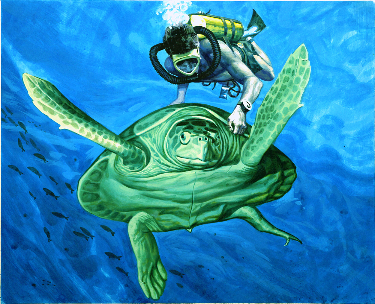 Sea Turtle and Diver (Original) art by Andrew Howat Art at The Illustration Art Gallery