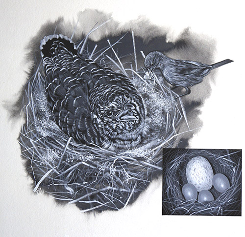 The Cuckoo In the Nest (Original) by Kenneth Lilly Art at The Illustration Art Gallery