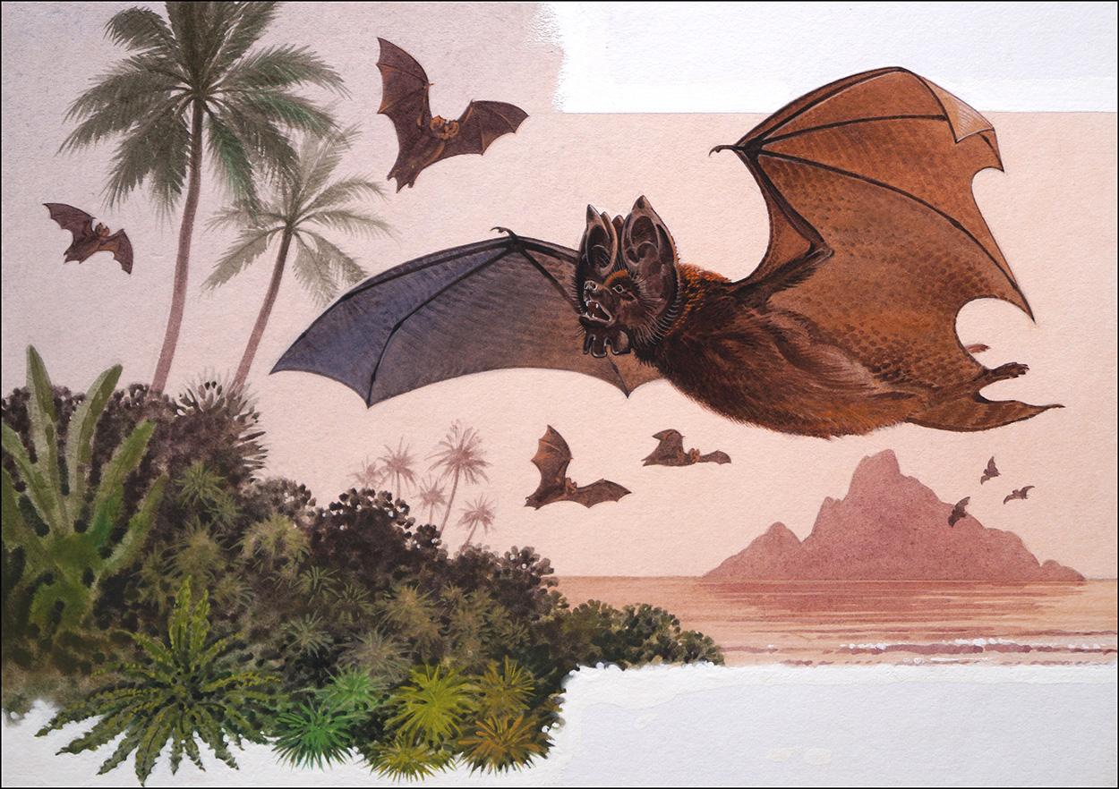 Flower Faced Bat (Original) art by Bernard Long at The Illustration Art Gallery