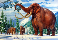 Woolly Mammoth (Original)