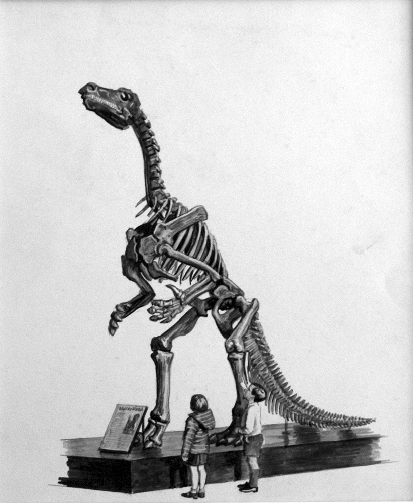 Iguanodon Skeleton (Original) art by Bernard Long Art at The Illustration Art Gallery