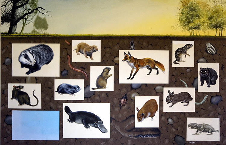 Animals Underground (Original) (Signed) by David Nockels at The Illustration Art Gallery