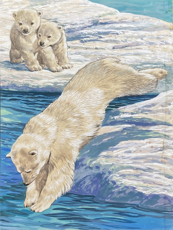 Baby Polar Bears (Original) by Arthur Oxenham Art at The Illustration Art Gallery