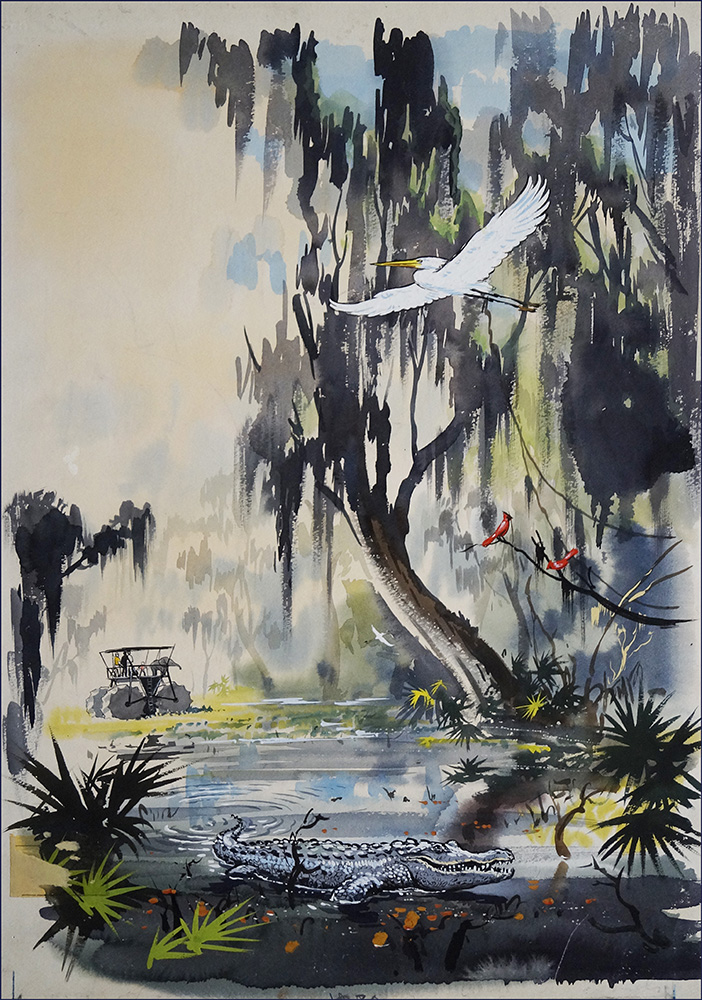The Beautiful Swamp (Original) art by John Worsley Art at The Illustration Art Gallery