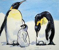 Penguin family (complimentary)
