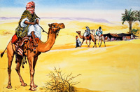 The Camel - Ship of the Desert (Original)