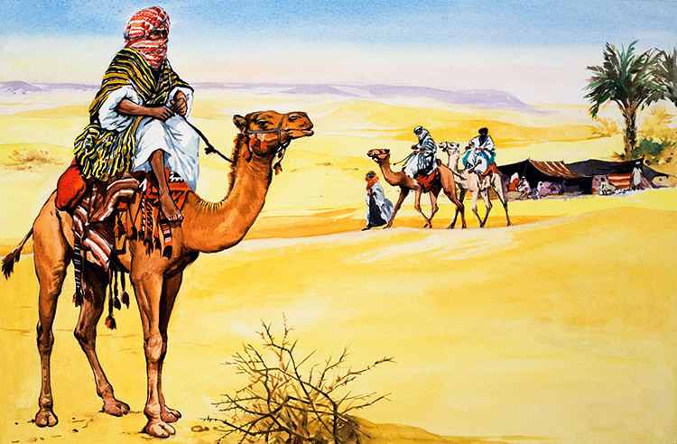 The Camel - Ship of the Desert by 20th Century unidentified artist at the  Illustration Art Gallery