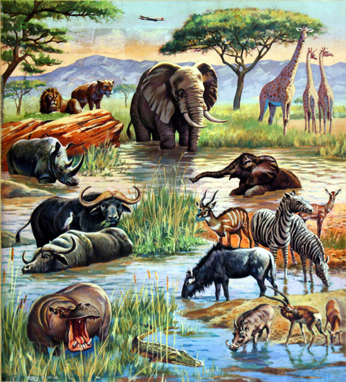 Danger At The Water Hole (Original) by Animals at The Illustration Art Gallery