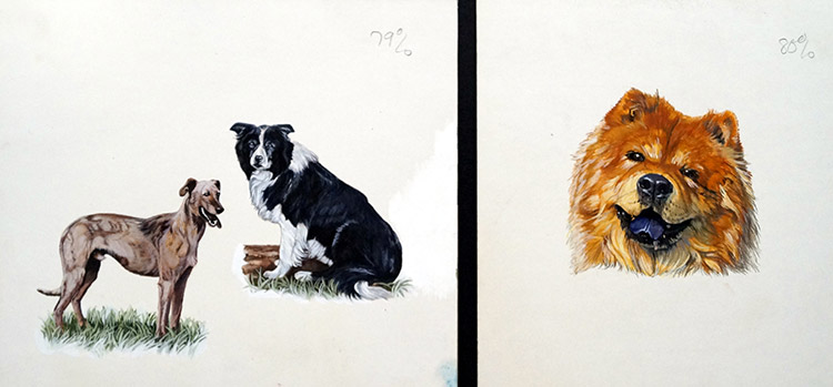 World Of Dogs (Originals) by Animals at The Illustration Art Gallery