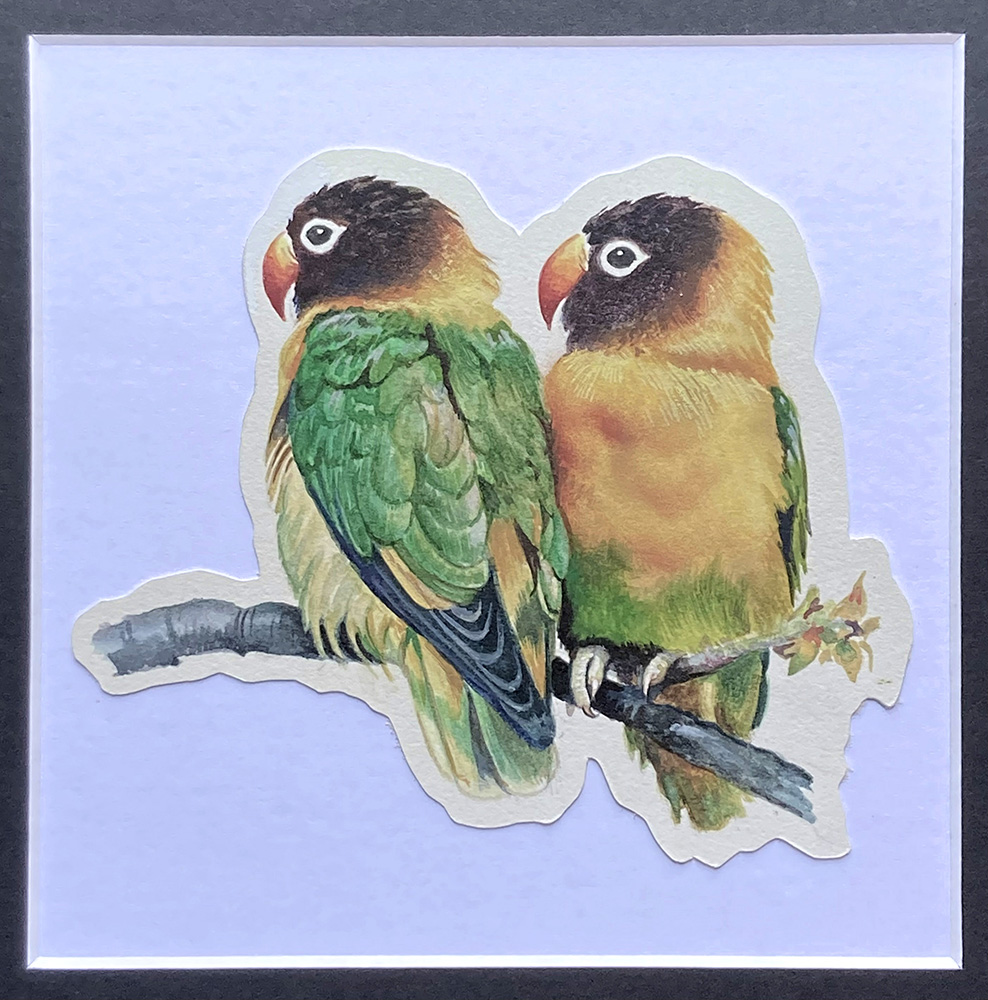 Masked Lovebirds (Original) art by 20th Century at The Illustration Art Gallery