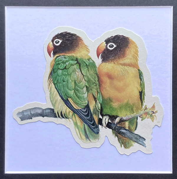 Masked Lovebirds (Original) by 20th Century at The Illustration Art Gallery