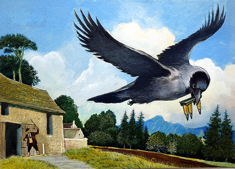 Kirijee the Jackdaw (Original) by G W Backhouse at The Illustration Art Gallery