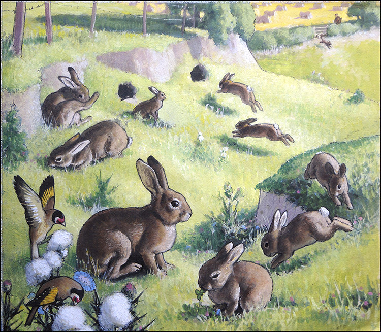 Bouncing Bunnies (Original) by G W Backhouse at The Illustration Art Gallery