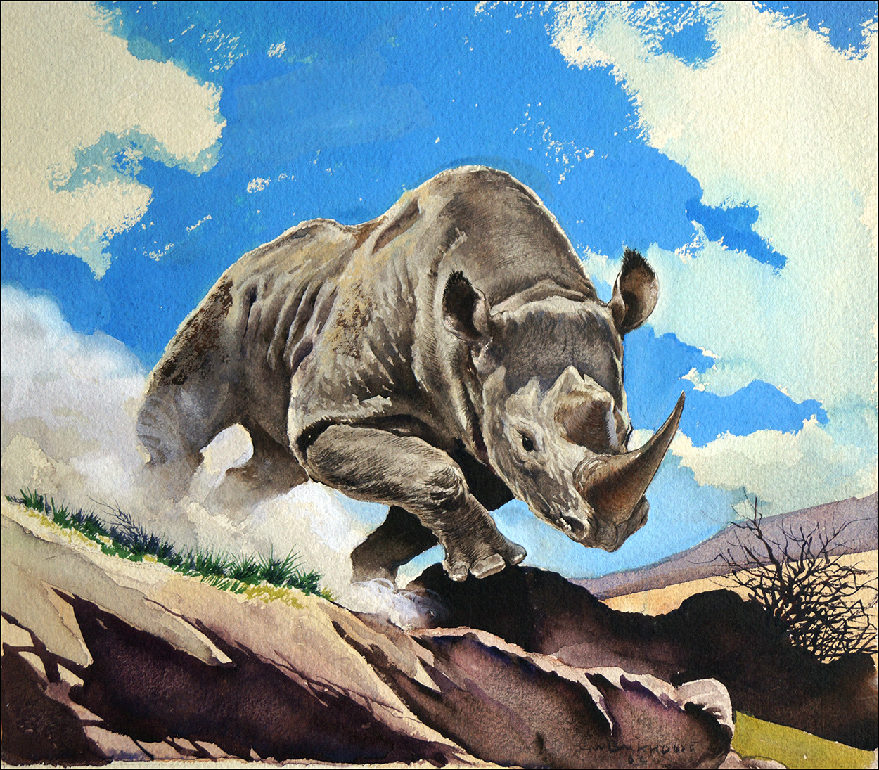 White Rhinoceros (Original) (Signed) art by G W Backhouse Art at The Illustration Art Gallery