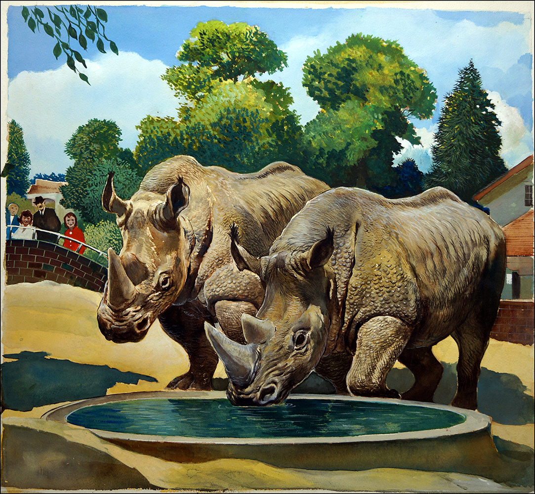 Rhinoceros (Original) art by G W Backhouse Art at The Illustration Art Gallery