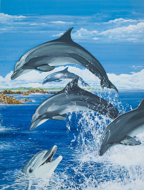 Bottle Nosed Dolphin (Original) by Janet Blakeley Art at The Illustration Art Gallery