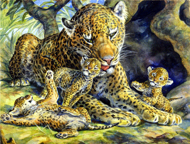 Leopardess and her Cubs (Original) by Jesus Blasco at The Illustration Art Gallery