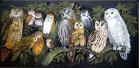 Thirteen Owls (Original)
