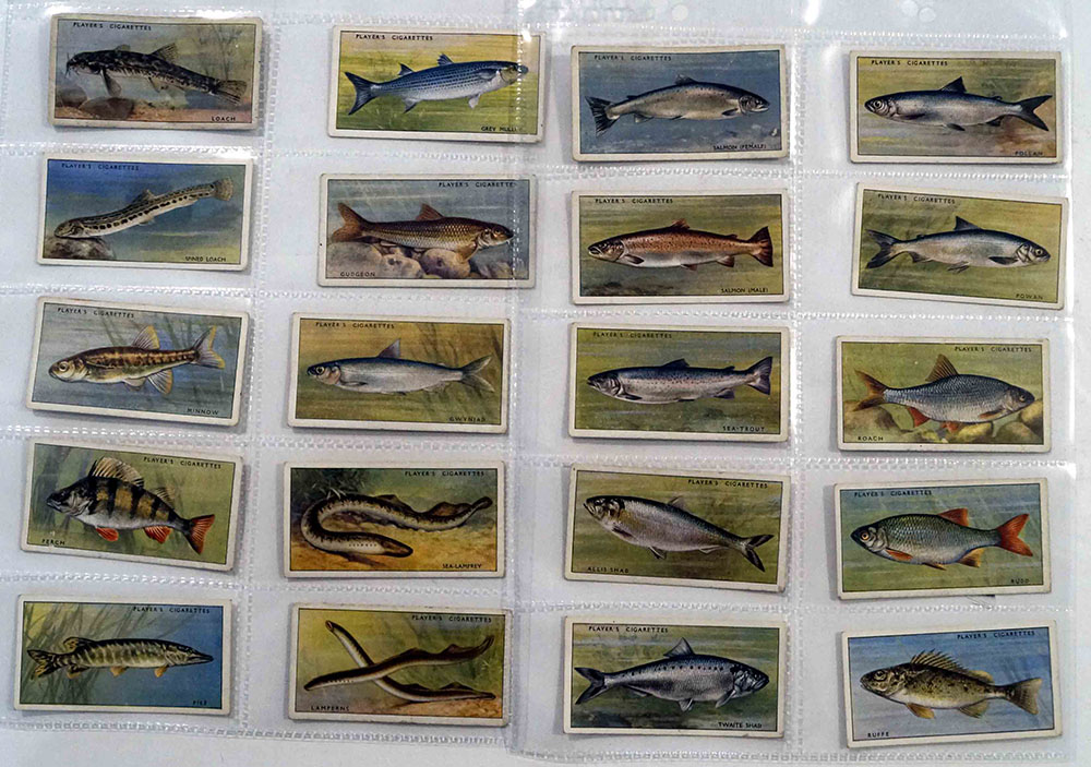 Fresh Water Fishes: Full Set of 50 Cigarette Cards (1934) art by Natural History (Wildlife) at The Illustration Art Gallery