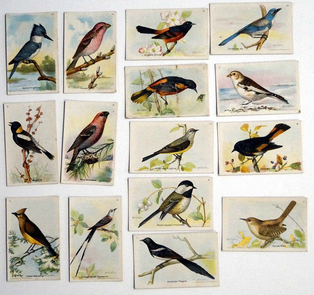 Full Set of 15 Cigarette Cards: Useful Birds of America 8th series (1936) at The Book Palace