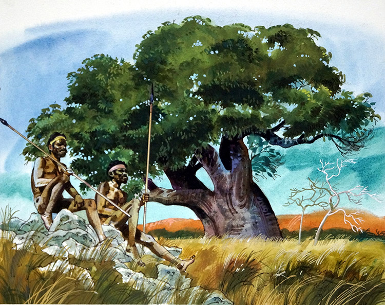 Baobab Tree (Original) by Gordon Davies at The Illustration Art Gallery