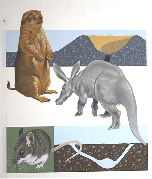 A is for Aardvark (Original) by Reginald B Davis at The Illustration Art Gallery