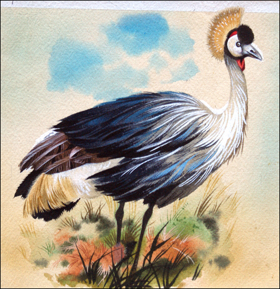 Crowned Crane (Original) art by Reginald B Davis at The Illustration Art Gallery