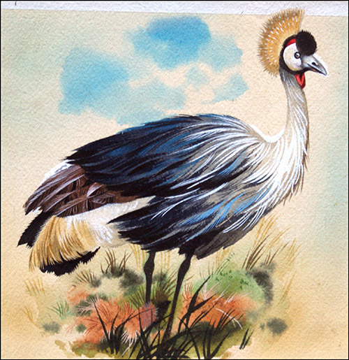 Crowned Crane (Original) by Reginald B Davis at The Illustration Art Gallery