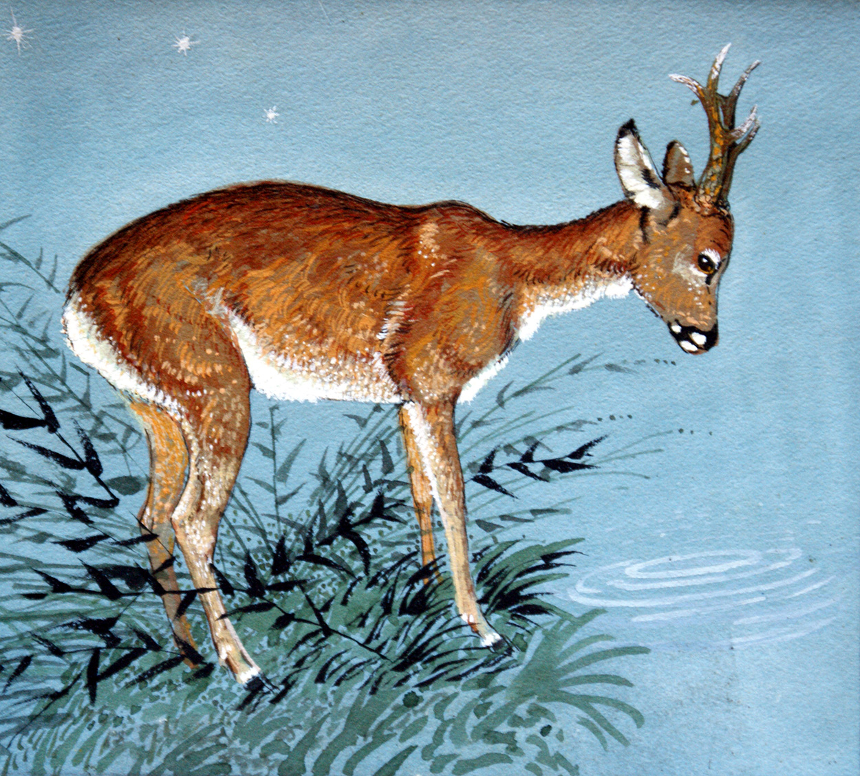 Fallow Deer (Original) art by Reginald B Davis at The Illustration Art Gallery