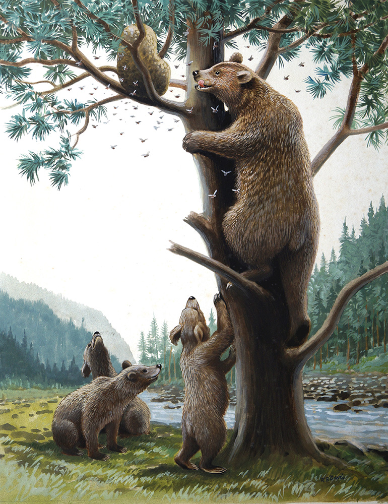 Grizzly Bear Family (Original) (Signed) art by Reginald B Davis at The Illustration Art Gallery