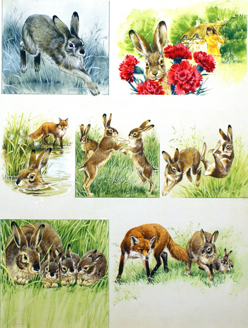 The March Hare (Original) by Reginald B Davis at The Illustration Art Gallery