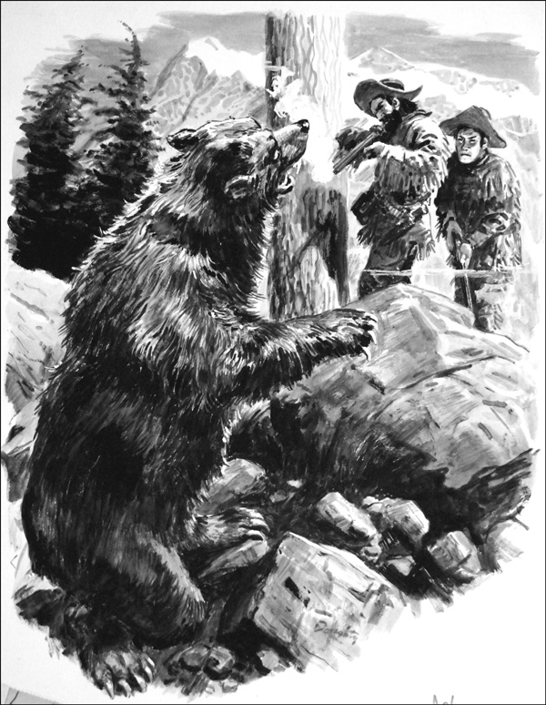 Grizzly Bear (Original) (Signed) by Cecil Doughty Art at The Illustration Art Gallery