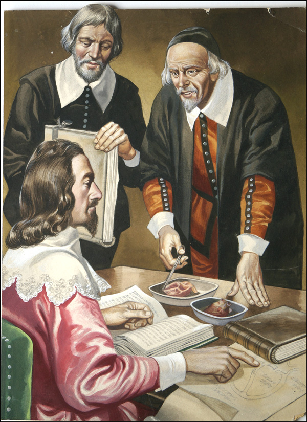 William Harvey (Original) by British History (Ron Embleton) at The Illustration Art Gallery