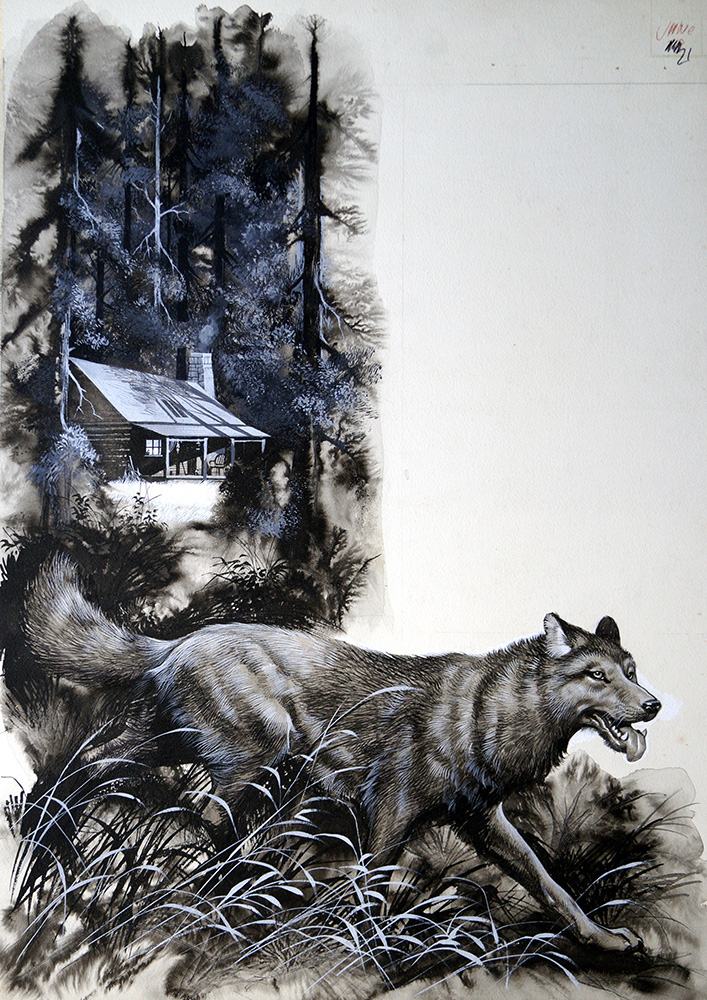 Running Wolf (Original) art by Ron Embleton Art at The Illustration Art Gallery