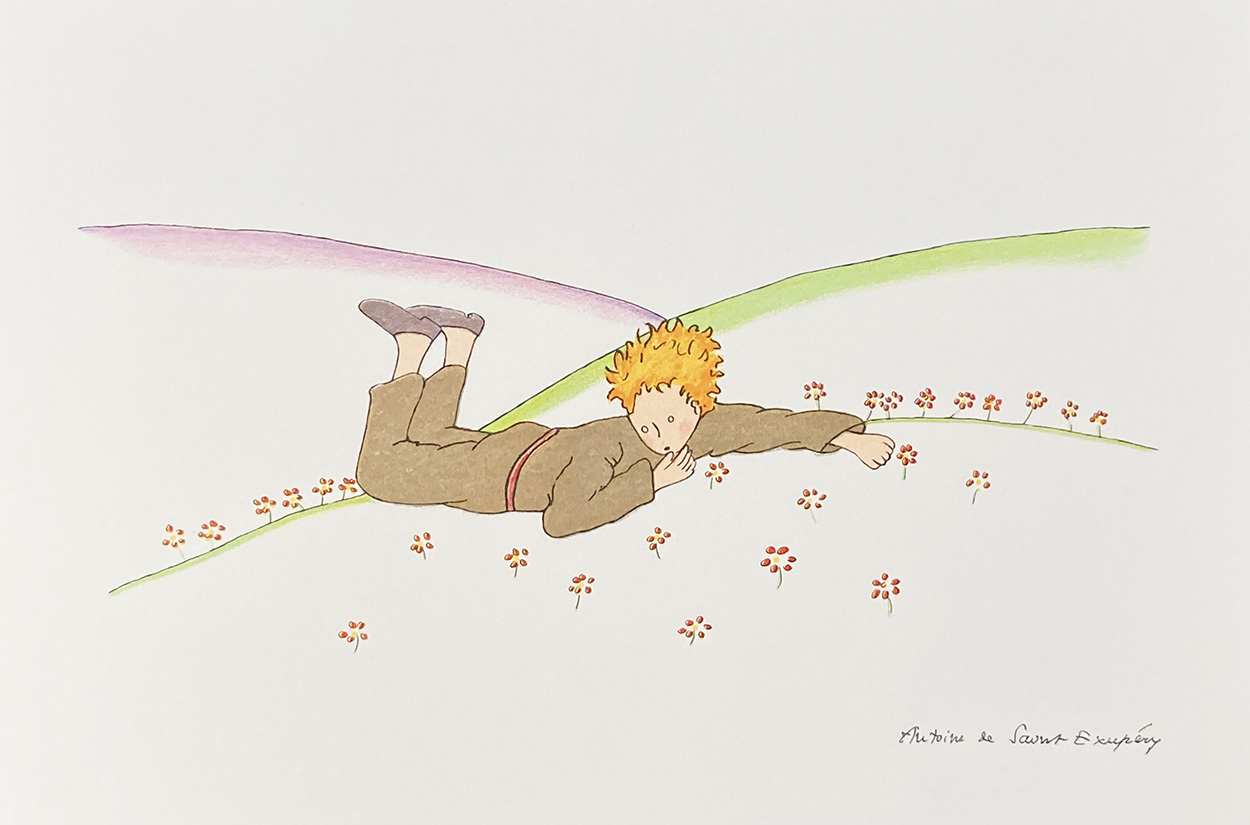 The Little Prince lying on the grass by Antoine de Saint Exupéry at the Illustration Art Gallery