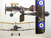 S.E.5a of the Royal Air Force Signed by Hasegawa
