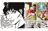 The Modesty Blaise Artists (Illustrators Special Hardcover Edition) 