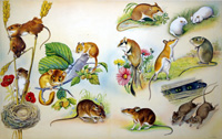 All Sorts of Mice art by Bert Illoss