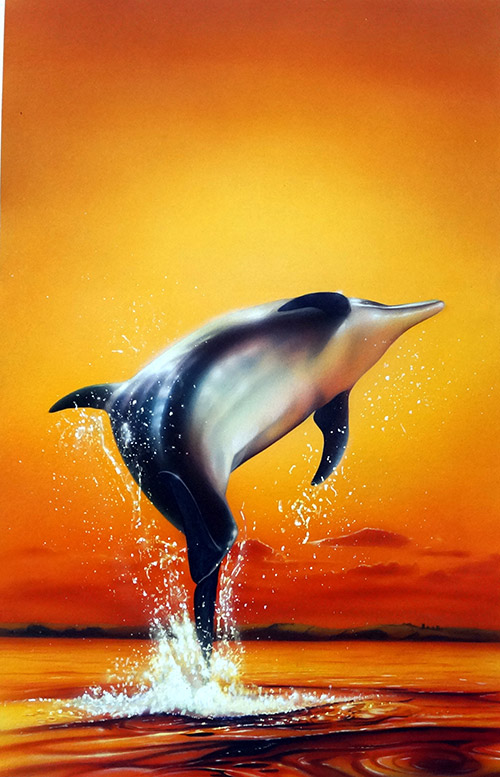Dolphin Sunrise book cover art (Original) by Barry Jones at The Illustration Art Gallery
