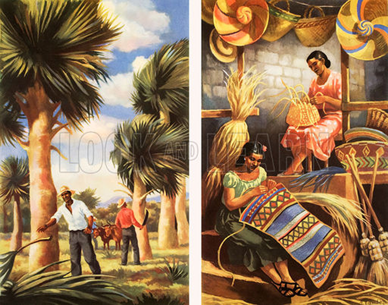 Raffia palms and hats in the West Indies (Original Macmillan Poster) (Print) art by A Lambe at The Illustration Art Gallery