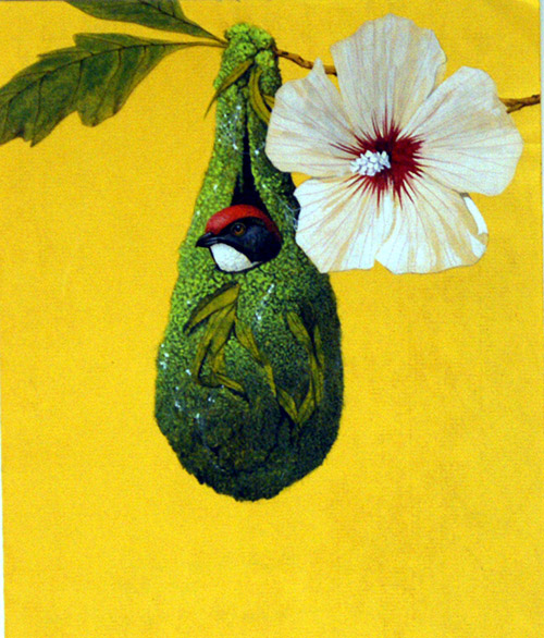 Flower Pecker Bird and Nest (Original) by Kenneth Lilly at The Illustration Art Gallery
