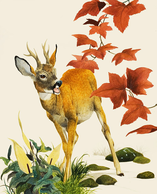 At Home in the Forest (Original) by Kenneth Lilly at The Illustration Art Gallery